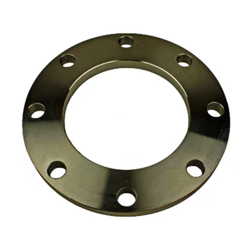 ASTM A105 Plate Flanges